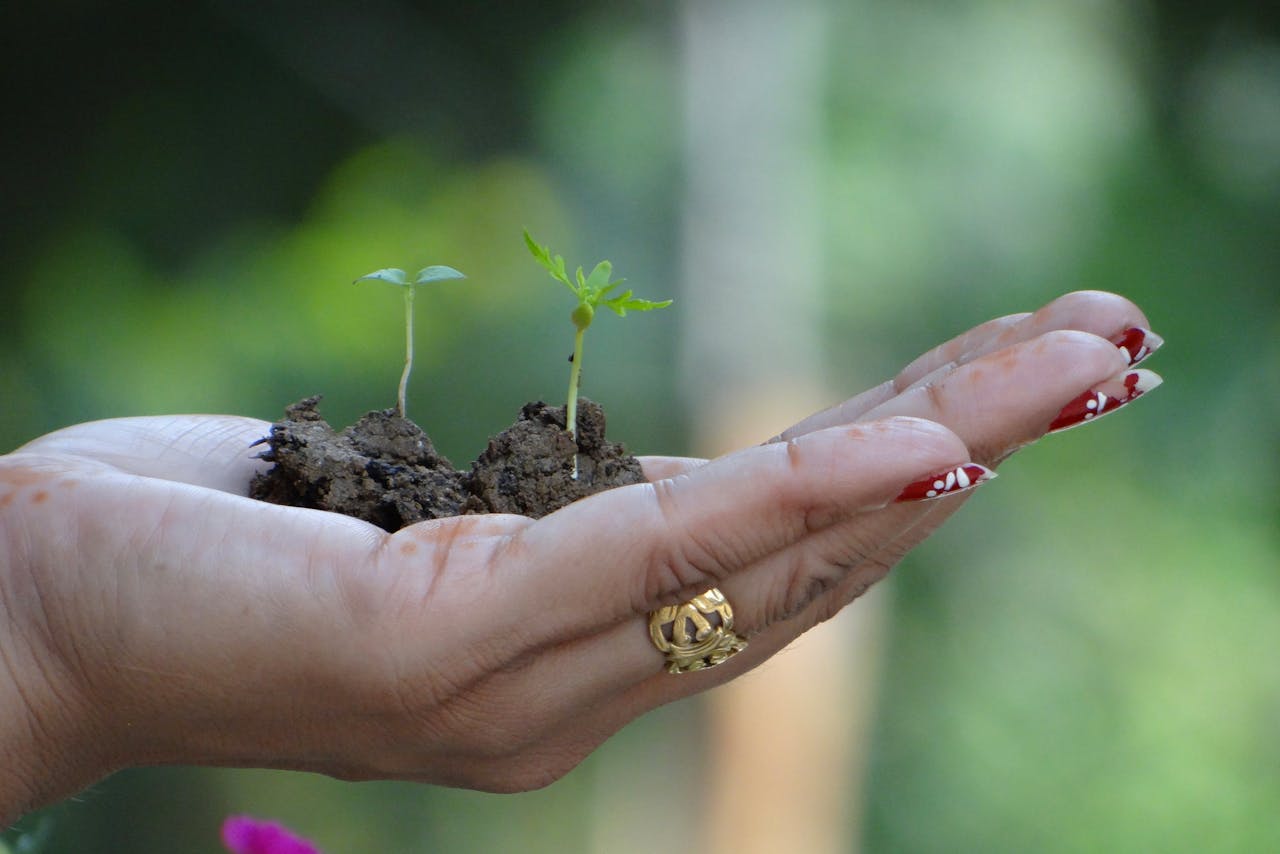 Pexels Photo 29510546